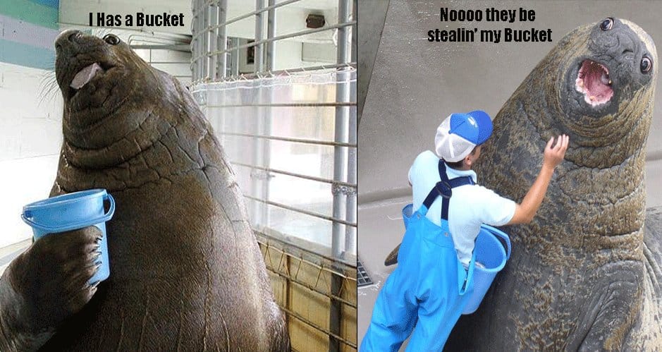 http://ihasabucket.com/